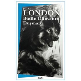 Zeplin Kitap Bütün Dünyanın Düşmanı