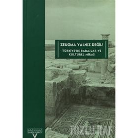 ZEUGMA YALNIZ DEĞİL TÜRKİYE'DE BARAJLAR VE KÜLTÜREL MIRAS - KOLEKTIF