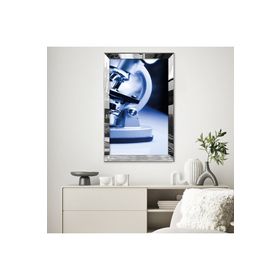 Zevahir Laboratuvar Tasarımlı 20x30 Gold Aynalı Pleksi Çerçeveli Gümüş MDF Tablo