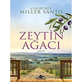 Zeytin Ağacı