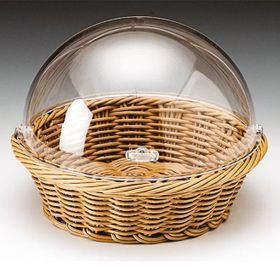 Zicco ZCP-660 35 cm Polycarbonat Kapaklı Sepetli Fanus