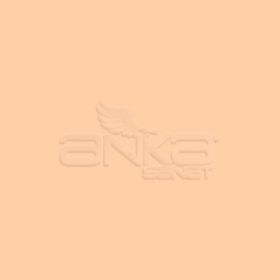 Zig Fudebiyori Brush Pen Yaldızlı 054 Pale Orange Kalem