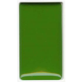 Zig MC21-53 Sap Green Gansai Tambi Sulu Boya Tablet
