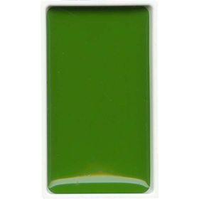 Zig Sap Green 53 Gansai Tambi Tablet Sulu Boya