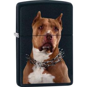 Zippo 79845 Çakmak