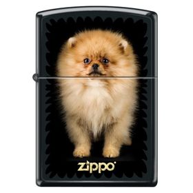 Zippo Puppy Çakmak