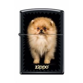 Zippo Puppy Çakmak