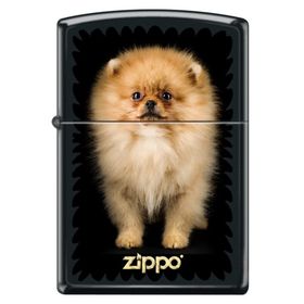 Zippo Puppy Çakmak