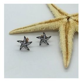 Zirkon Taşlı Deniz Yıldızı Gümüş Küpe