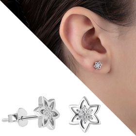 Zirkon Taşlı Yıldız Tasarım 925 Ayar Kadın Gümüş Küpe