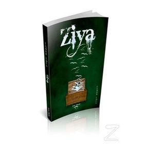 Ziya - İlber İdil