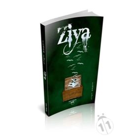 Ziya - İlber İdil