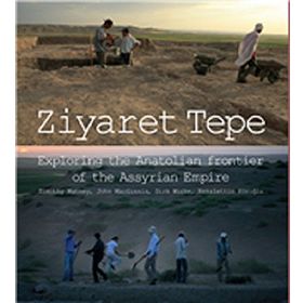 Ziyaret Tepe - Kollektif