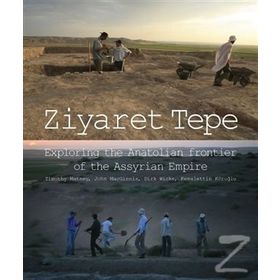 Ziyaret Tepe - Kollektif