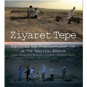 Ziyaret Tepe - Kollektif