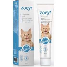 Zoey 100 gr Glukozamin Paste Kediler için Eklem Sağlığını Desteleyen Malt