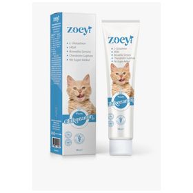 Zoey 100 gr Glukozamin Paste Kediler için Eklem Sağlığını Desteleyen Malt