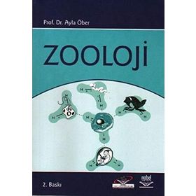 ZOOLOJI - AYLA ÖBER