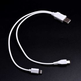 Zore 2 in 1 Kısa Kablo iPhone Şarj-Micro Usb Kablo