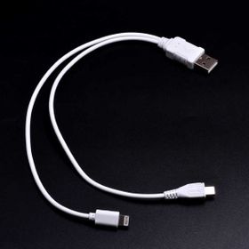 Zore 2 in 1 Kısa Kablo iPhone Şarj-Micro Usb Kablo