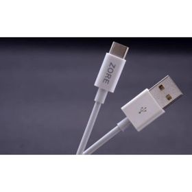 Zore 25 cm Type-C USB Kablo