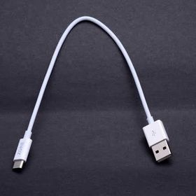 Zore 25 cm Type-C USB Kablo