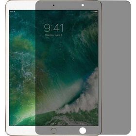 Zore Apple iPad Mini 4 Privacy Temperli Cam - Siyah Ekran Koruyucu