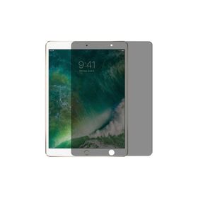 Zore Apple İpad Mini 4 Tablet Privacy Temperli Cam Ekran Koruyucu