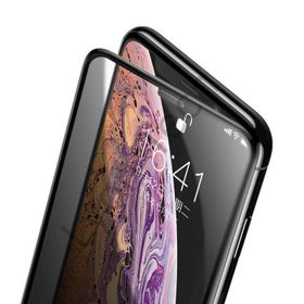 Zore Apple iPhone 12 Pro Anti-Dust Privacy Temperli Ekran Koruyucu