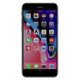 Zore Apple iPhone 7 Plus Anti-Dust Privacy Temperli Ekran Koruyucu