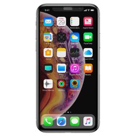 Zore Apple iPhone Xr 6.1 Zore Anti-Dust Mat Privacy Temperli Ekran Koruyucu
