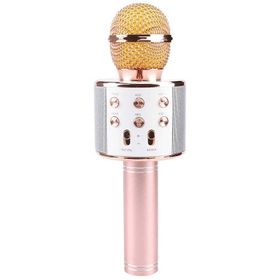 Zore WS-858 Karaoke Mikrofon