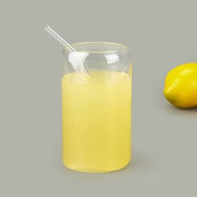 Zucci 330 ml Şeffaf Pipetli Borosilikat Cam Bardak