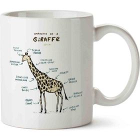 Zürafa Anatomi Giraffe Anatomy Baskılı Kupa