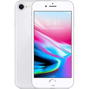 Apple iPhone 8 256 GB 4.7 İnç 12 MP Akıllı Cep Telefonu Gümüş