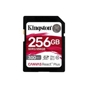 Kingston SDS2 256 GB SDXC Canvas Select Plus 100R C10 UHS-I U3 V30