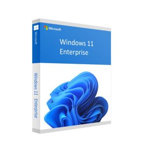 Microsoft HAV-00159 Windows 11 Pro Tr Kutu 64 Bit İşletim Sistemi
