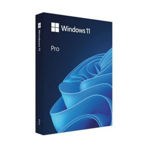 Microsoft Windows 11 Pro Türkçe 64Bit OEM FQC-10556 İşletim