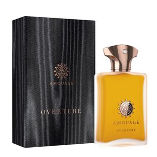 Amouage Overture EDP 100 ml Erkek Parfüm Fiyatları
