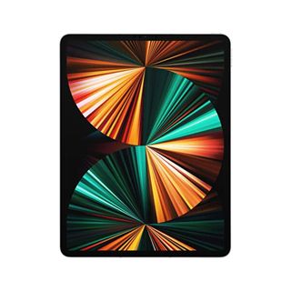 Apple iPad Pro 5. Nesil 256 GB Fiyatları