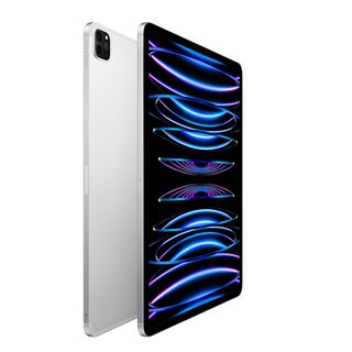 iPad Pro 2TB 第6世代 Cellular Apple Care+付 12.9インチiPad Pro Wi-Fi 2TB - スペースグレイ（第6世代）[整備済