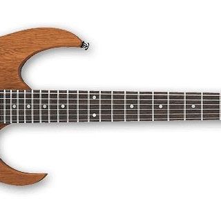 Ibanez RG421 MOL Elektro Gitar Fiyatları ve Modelleri | Cimri