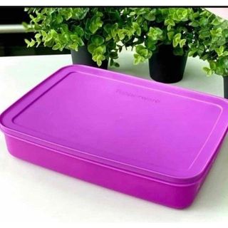 Tupperware 中型保存容器 グリーン・パープル Tupperware 中型保存容器 グリーン・パープル Tupperware Purple