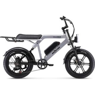 Ape Ryder COLOBUS PREMIUM ELEKTRİKLİ BİSİKLET - 750W