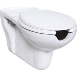 Creavit BD320-00CB00E-0000 Bedensel Engelli Asma Klozet