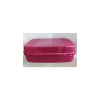 Tupperware F20 Büyük Saklama Kutusu