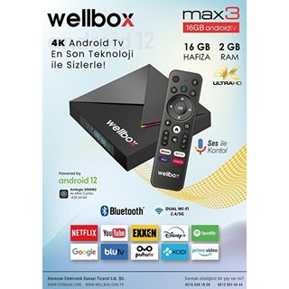 Wellbox Max316 GB 4K Android 12 Tv Box