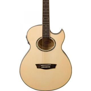 Washburn EA20 Elektro Akustik Gitar