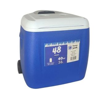 Freeze Peak Eco Cool 40 QT 38 lt Mavi Soğutucu Buzluk