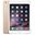 Apple iPad Mini 3 16GB 4G Altın Sarısı